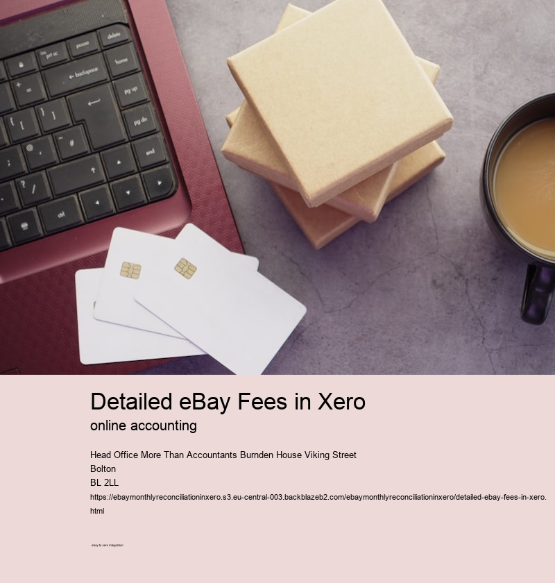 Detailed eBay Fees in Xero