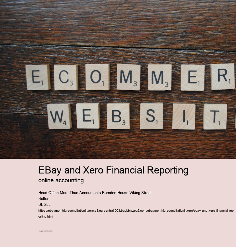 eBay and Xero Financial Reporting