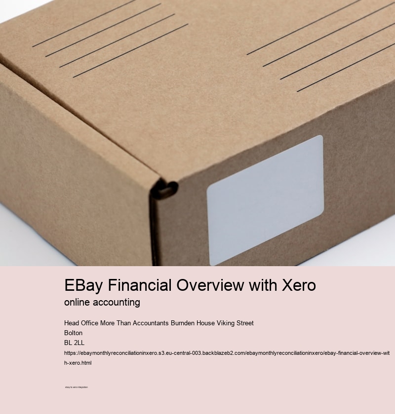 eBay Financial Overview with Xero