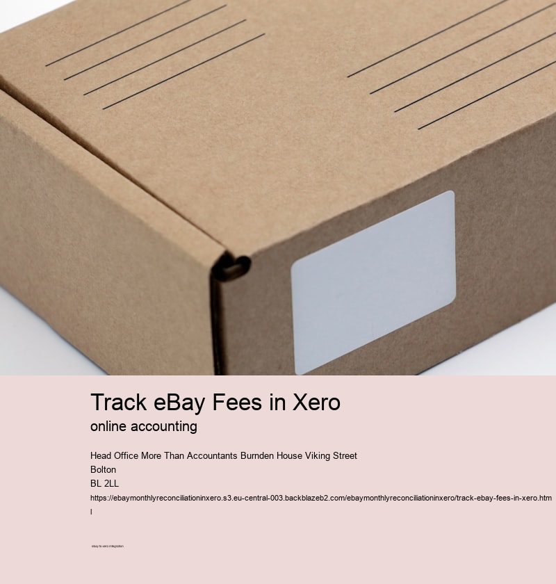 Track eBay Fees in Xero